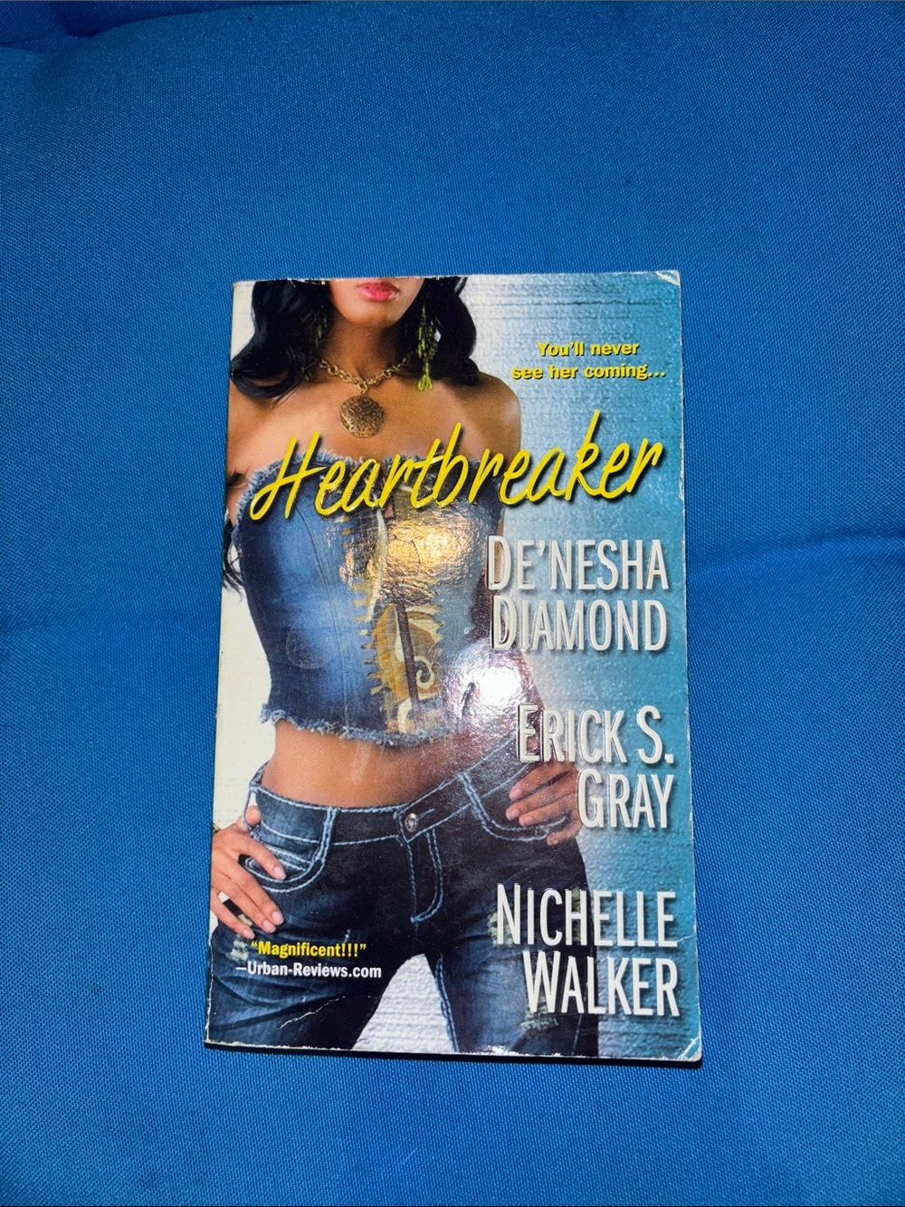 Heartbreaker You’ll Never See Her Coming NWOTS Soft Cover